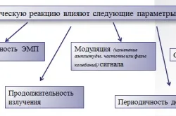 Вплив електромагнітного поля на людину (поля) Вплив електромагнітного поля на людину