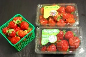 Вирощування полуниці будинку і в теплиці з метою її продажу (теплиці) Вирощування полуниці будинку і в теплиці з метою її продажу