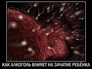 Вплив алкоголю на зачаття дитини і вагітність у жінок і сперму і потенцію у чоловіків (зачаття) Вплив алкоголю на зачаття дитини і вагітність у жінок і сперму і потенцію у чоловіків