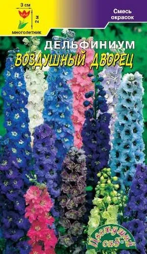 Вирощування багаторічного дельфиниума з насіння (вирощування квітка багаторічний низькорослий дельфініум солшебний фонтан насіння) Вирощування багаторічного дельфиниума з насіння