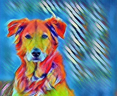 Вивих колінної чашечки у собак