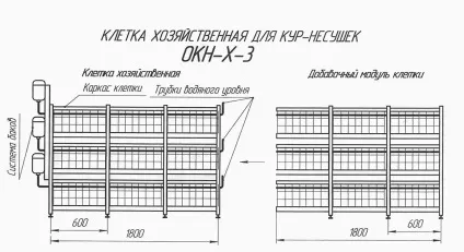 Вирощування бройлерів на м'ясо на фермі і в домашніх умовах як бізнес, рентабельність плану (умовах) Вирощування бройлерів на м'ясо на фермі і в домашніх умовах як бізнес, рентабельність плану
