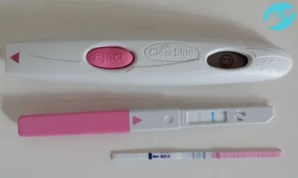 В який час робити тест на овуляцію - інструкція, вранці або ввечері (яке) В який час робити тест на овуляцію - інструкція, вранці або ввечері