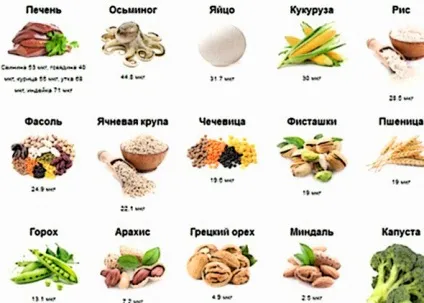 У яких продуктах міститься цинк і селен (цинк) У яких продуктах міститься цинк і селен