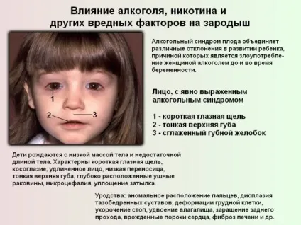 Вплив алкоголю на зачаття дитини і вагітність у жінок і сперму і потенцію у чоловіків (вплив) Вплив алкоголю на зачаття дитини і вагітність у жінок і сперму і потенцію у чоловіків