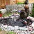 Водні рослини для прісного ставка і водойми на дачі