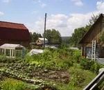 Чи можливо з однієї насіння виростити грушу (насіння) Чи можливо з однієї насіння виростити грушу
