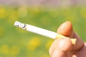 Шкода куріння для організму людини