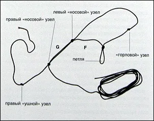 Воля - кінний клуб м'яких методик - статті плетемо - природний - недоуздок (Extra Extra Large) Воля - кінний клуб м'яких методик - статті плетемо - природний - недоуздок