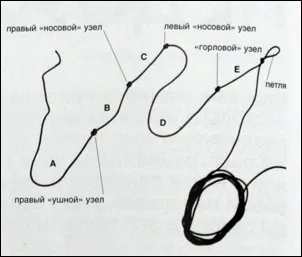Воля - кінний клуб м'яких методик - статті плетемо - природний - недоуздок (недоуздок) Воля - кінний клуб м'яких методик - статті плетемо - природний - недоуздок