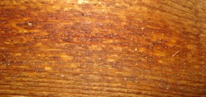 Час висихання оліфи на поверхні дерева або дсп (оліфа) Час висихання оліфи на поверхні дерева або дсп