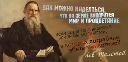 Чи шкідливо вегетаріанство, медицина, наука, здоров'я (вегетаріанство) Чи шкідливо вегетаріанство, медицина, наука, здоров'я