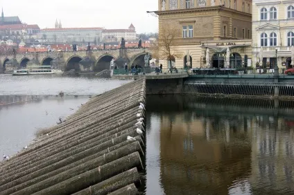 У Празі знають про те, що і кому треба натерти для здійснення мрій (праге) У Празі знають про те, що і кому треба натерти для здійснення мрій