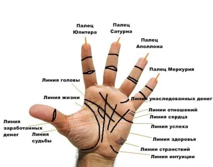 Ось як правильно Новомосковскть всі головні лінії на долоні! (Всіх Лінія серця) Ось як правильно Новомосковскть всі головні лінії на долоні!