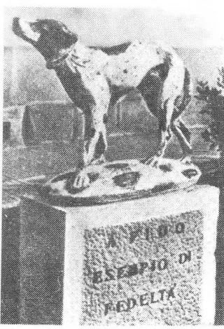 Хатіко і інші