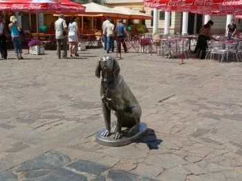 Хатіко і інші