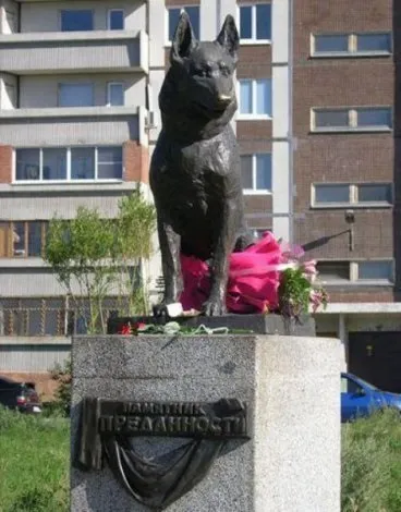 Хатіко і інші