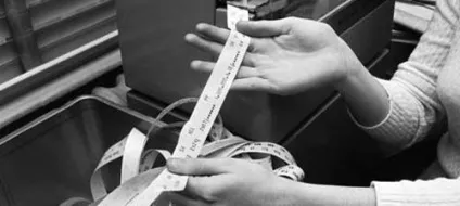 Всі кури передохли точка надсилайте новий телескоп, територія Ванесси чи (щоденник ванесскі blog) Всі кури передохли точка надсилайте новий телескоп, територія Ванесси чи