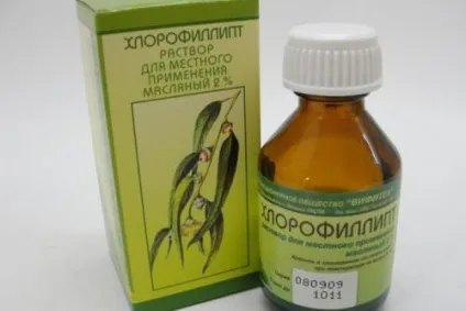 Хлорофіліпт для горла - ефективний засіб лікування (дитині горло хлорофіліпту) Хлорофіліпт для горла - ефективний засіб лікування