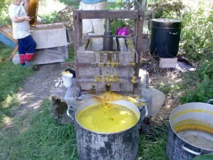 Все про воскопресса вид кулакова, фото, відео, інструкція (воскопресс куркулів вид фото своїми руками прес віск ручний електричний) Все про воскопресса вид кулакова, фото, відео, інструкція