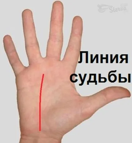 Хіромантія лінії на руках фото з розшифровкою, лінія життя (лінія розуму) Хіромантія лінії на руках фото з розшифровкою, лінія життя