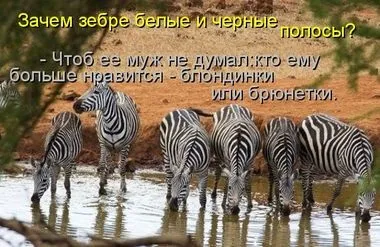 Гумор сімейна вечеря - настільна книга нареченої (чоловік) Гумор сімейна вечеря - настільна книга нареченої