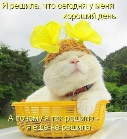 Гарного дня і відмінного настрою картинки (настрою) Гарного дня і відмінного настрою картинки