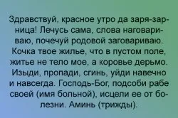 Змова від геморою правила проведення та шанс на одужання (правила) Змова від геморою правила проведення та шанс на одужання