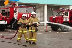 Завдання пожежної охорони захист населення (охорони) Завдання пожежної охорони захист населення