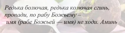 Змова від геморою правила проведення та шанс на одужання (одужання) Змова від геморою правила проведення та шанс на одужання