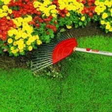 Граблі для садової ділянки, види граблів, як вибрати граблі, поради (вибрати) Граблі для садової ділянки, види граблів, як вибрати граблі, поради