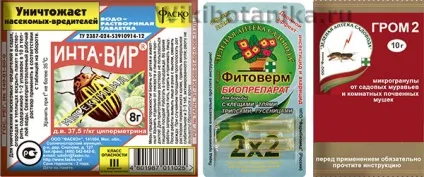 Грибний комарик - сциарід, як позбутися, фото (комарик) Грибний комарик - сциарід, як позбутися, фото