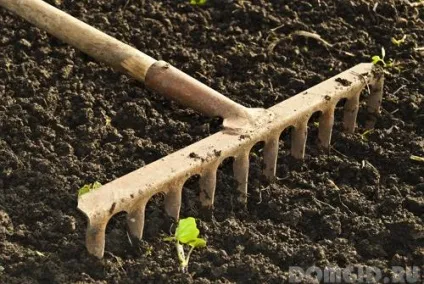 Граблі для садової ділянки, види граблів, як вибрати граблі, поради (види) Граблі для садової ділянки, види граблів, як вибрати граблі, поради