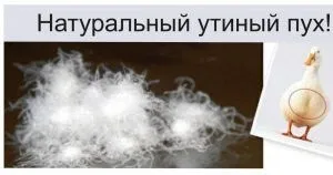 Як ощипать качку в домашніх умовах швидко і легше