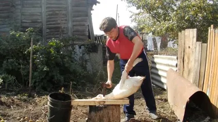Як ощипать качку в домашніх умовах швидко і легше