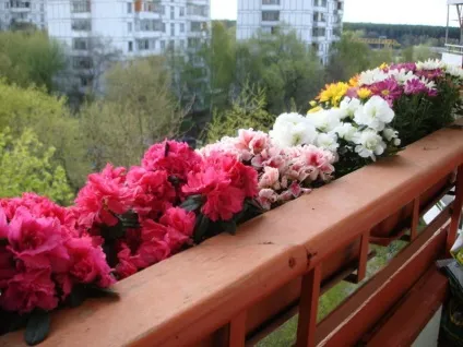 Як облаштувати незасклений балкон