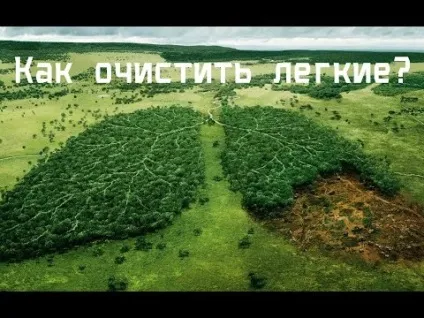 Як очистити легені після куріння як відновити від нікотину в домашніх умовах після сигарет (очистити) Як очистити легені після куріння як відновити від нікотину в домашніх умовах після сигарет