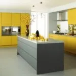Жовта кухня 50 фото ідей дизайну, ідеальні поєднання кольорів з сонячним (жовта) Жовта кухня 50 фото ідей дизайну, ідеальні поєднання кольорів з сонячним