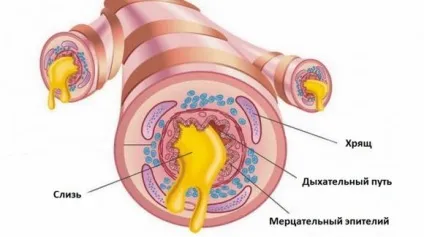 Жорстке дихання у дитини і дорослого що це значить, причини, лікування