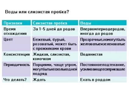 За скільки днів відбувається відходження пробки перед пологами (відбувається) За скільки днів відбувається відходження пробки перед пологами