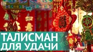 Жук скарабей - значення талісмана, його опис і особливості (скарабей) Жук скарабей - значення талісмана, його опис і особливості