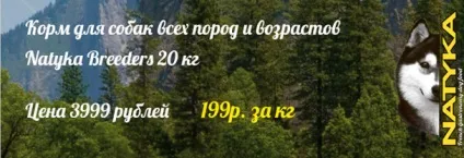 Зоосервіс «yoжкін кіт», інтернет магазини товарів для тварин Харків