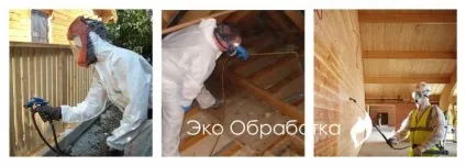 Жук точильщик в будинку як позбутися без наслідків (позбутися) Жук точильщик в будинку як позбутися без наслідків