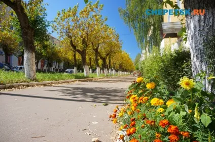 Знаєш, як зробити місто краще ( «Розвиток культури фізкультури) Знаєш, як зробити місто краще