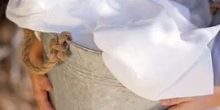 Як відіпрати цвіль з одягу (вивести, позбутися з тканини) (вивести) Як відіпрати цвіль з одягу (вивести, позбутися з тканини)