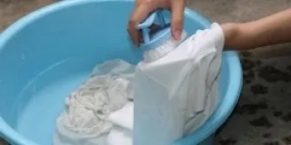 Як відіпрати цвіль з одягу (вивести, позбутися з тканини) (одягу) Як відіпрати цвіль з одягу (вивести, позбутися з тканини)