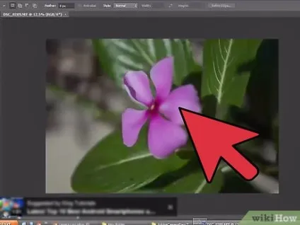 Як відкривати nef файли в photoshop (photoshop) Як відкривати nef файли в photoshop