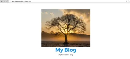 Як поміняти шаблон в wordpress