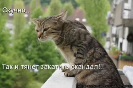 Як підняти настрій собі та іншим (підняти) Як підняти настрій собі та іншим