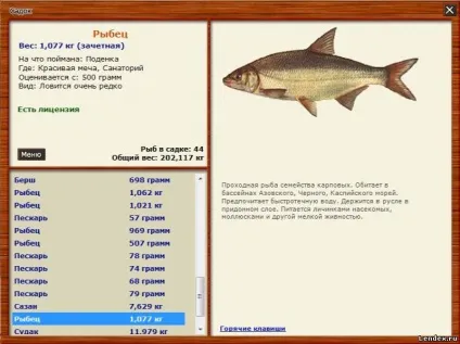Як зрозуміти що риба клює (зрозуміти) Як зрозуміти що риба клює
